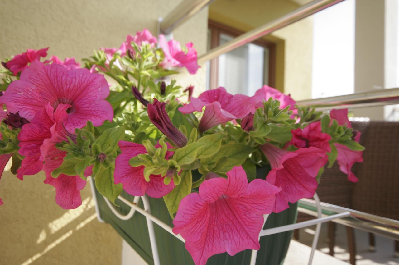 Apartments Salatic Veglia Exterior foto