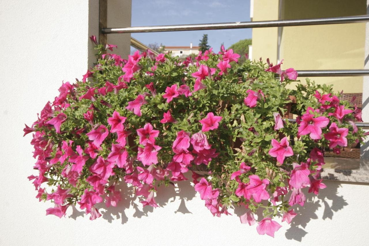 Apartments Salatic Veglia Exterior foto