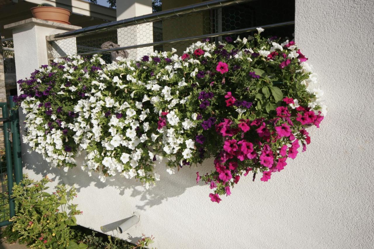 Apartments Salatic Veglia Exterior foto